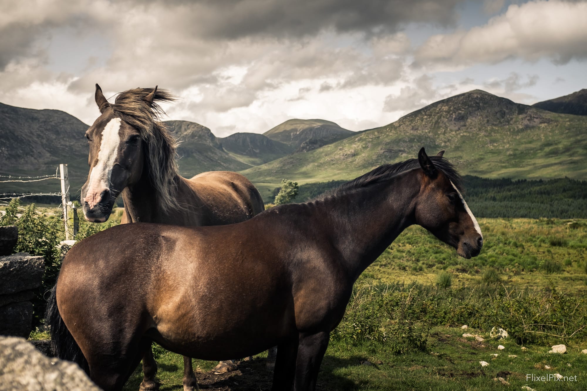 Horses on the Mournes David Cleland Fujifilm X100T