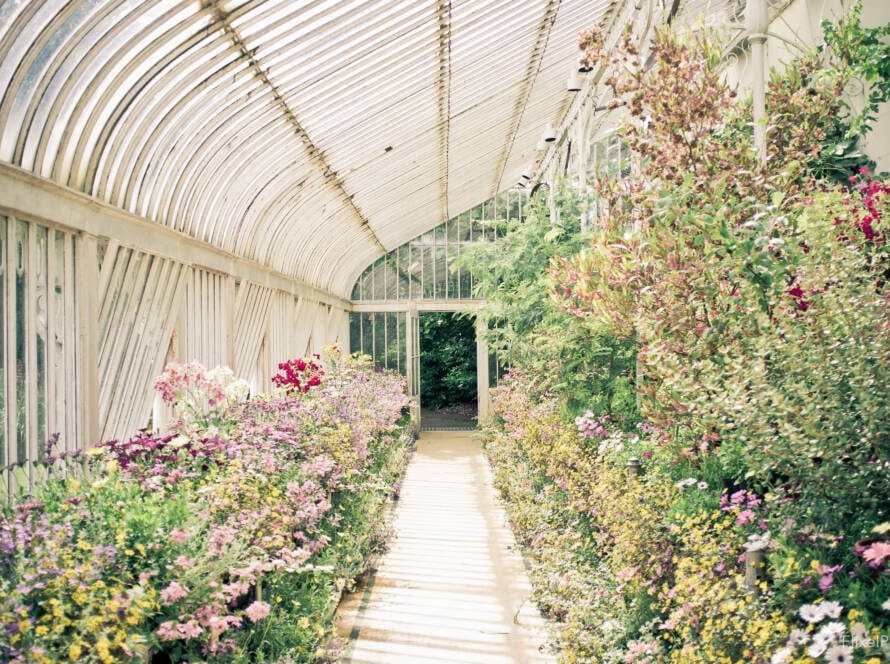 Botanic Gardens Fujifilm X100