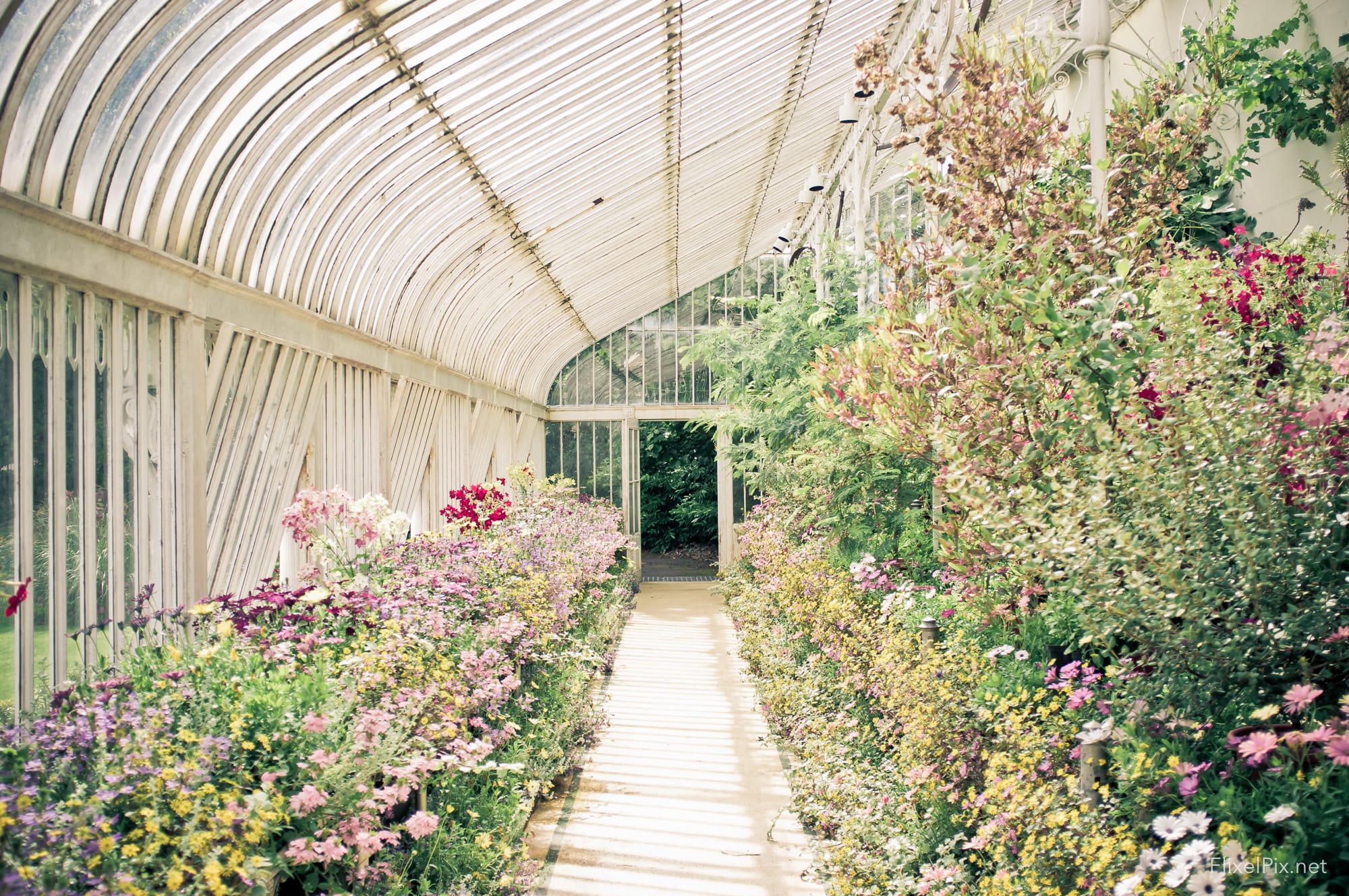 Botanic Gardens Fujifilm X100