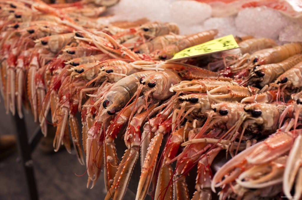 A beginner's guide to depth of field