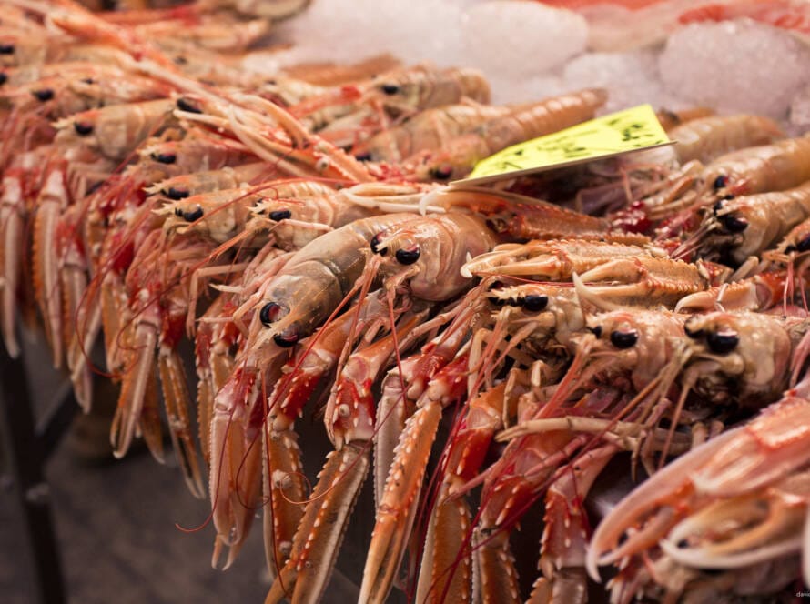 A beginner's guide to depth of field
