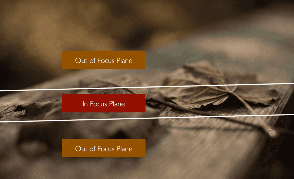 A beginner's guide to depth of field 
